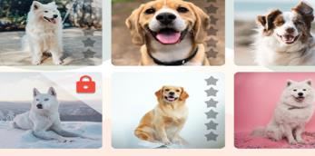 搜狗截图24年01月04日1047_23