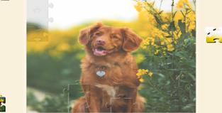 搜狗截图24年01月04日1047_22