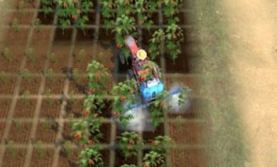 强大的农民游戏下载-强大的农民最新版下载v1.0.0