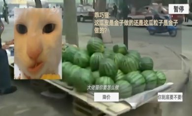 猫猫惊魂夜安卓手机版下载-猫猫惊魂夜恐怖版下载v1.0