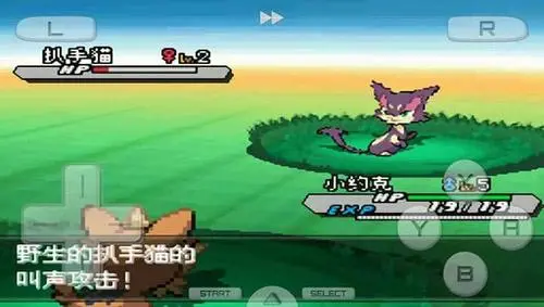 口袋妖怪黑白金手指下载-口袋妖怪黑白破解版下载v6.2.7