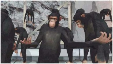 搜狗截图24年01月10日1150_35