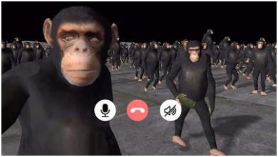 全民动物世界冒险最新版下载-全民动物世界冒险分红版下载v1.0