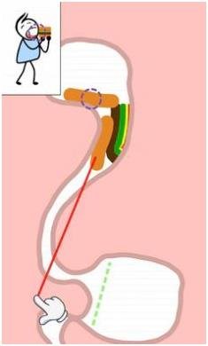 搜狗截图24年01月11日1617_31