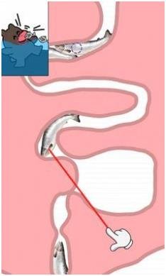 搜狗截图24年01月11日1617_32