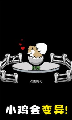 养鸡时长两年半游戏下载-养鸡时长两年半免广告版下载v1.0.1
