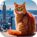 猫咪历险记大都市下载-猫咪历险记大都市安卓版下载v1.1
