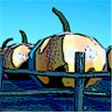 花园守护者安卓版