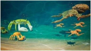 搜狗截图24年01月17日1358_25