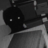 寻找伪人中文联机版不用实名认证