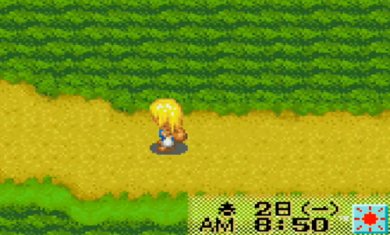 牧场物语女孩版完美汉化下载-牧场物语女孩版破解版内有金手指下载v2.2.0