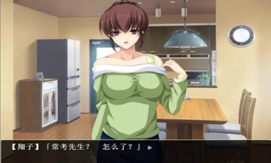 自宅警备员直装汉化版下载-自宅警备员中文版免费破解版下载v1.0.0