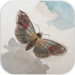 灵魂化蝶最新安卓版