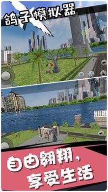 鸽子模拟器下载-鸽子模拟器安卓版下载v4.0.0
