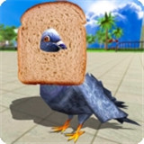 鸽子模拟器安卓版