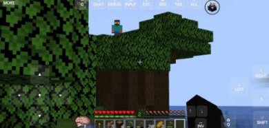 minecraft雾中人手机版下载-minecraft雾中人安卓版下载v951622101
