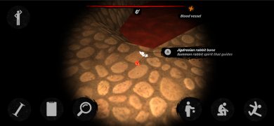 她疯了游戏下载-她疯了最新版下载v1.04