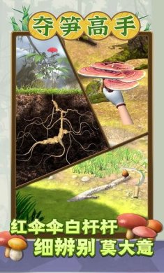 3d3247d30d894229eba5d90d297d561d