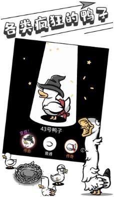 母鸡下蛋破解版下载-母鸡下蛋手游免费版下载v1.0