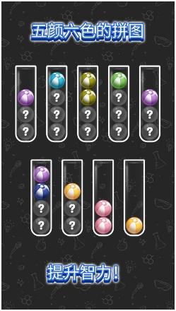 球类排序测验手机正式版下载-球类排序测验最新版下载v1.0.0