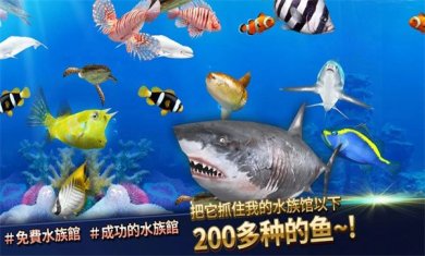 钓鱼竞争者破解版无限钻石版下载-钓鱼竞争者最新版免广告下载v1.2.5