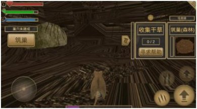 老鼠生存进化模拟器2024中文版下载-老鼠生存进化模拟器手机版下载v1.0