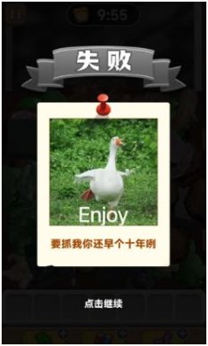 抓了个鹅官方正版下载-抓了个鹅免广告下载v1.0.2