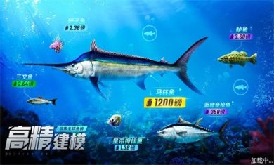 野外钓鱼大师官方手机版下载-野外钓鱼大师内置菜单下载v1.0