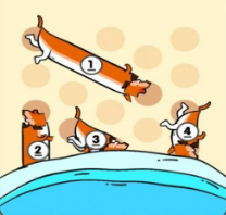 咸鱼也翻身安卓版下载-咸鱼也翻身手游下载v1.0.3