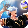 排球故事手机版下载-排球故事下载最新版v4.1.3