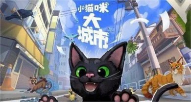 小猫咪大城市仙人掌帽怎么获取 仙人掌帽获取攻略