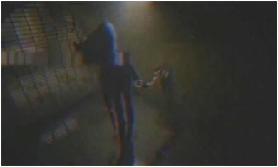 搜狗截图24年05月15日1716_89