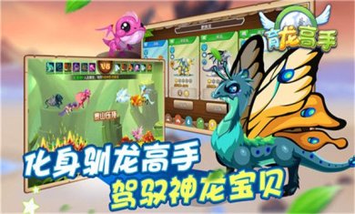 育龙高手破解版下载-育龙高手下载v2.9.38