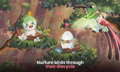 鸟类世界最新版下载-鸟类世界下载v0.75