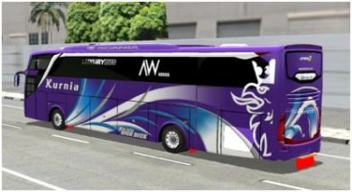 搜狗截图24年05月31日1345_41