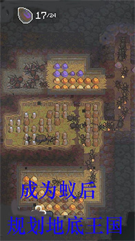 2024071063DAED682C0F4676B39CAB8BD1CF323E