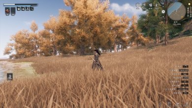 7956c8c591e83e049522d018530e5062