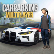 carparking游戏