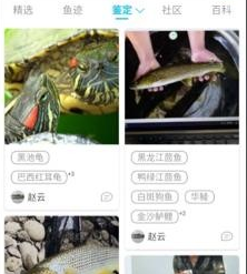 看鱼安卓版下载-看鱼手机版下载v2.5.2