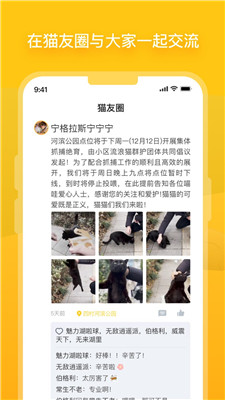 哈啰街猫app官网下载-哈啰街猫app下载v1.31.0