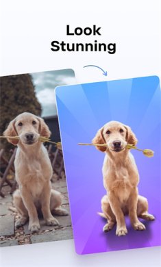 photoroom破解版下载-photoroom下载v5.2.6