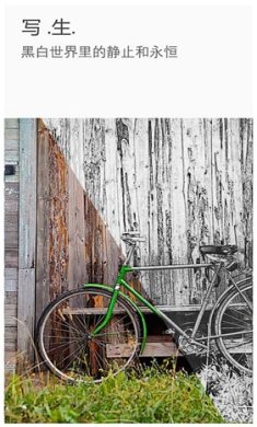 toolwizphotos破解版v11.12安卓版下载-toolwizphotos最新版下载v11.12