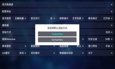 TVBox安装包最新接口配置2024最新版下载-TVBox手机版下载v1.0.20240829