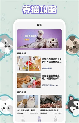 多多养猫助手下载-多多养猫助手app下载v1.1