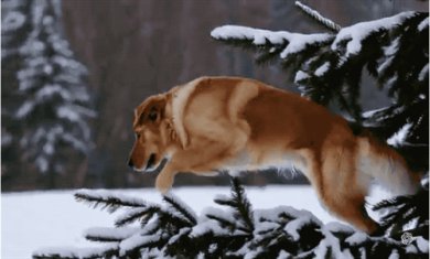 sora软件官方正版免费下载-sora视频生成软件下载v1.0