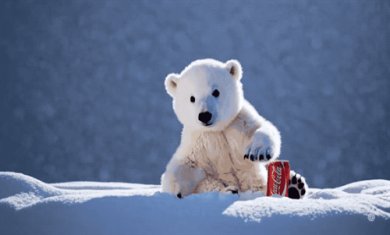 sora软件官方正版免费下载-sora视频生成软件下载v1.0