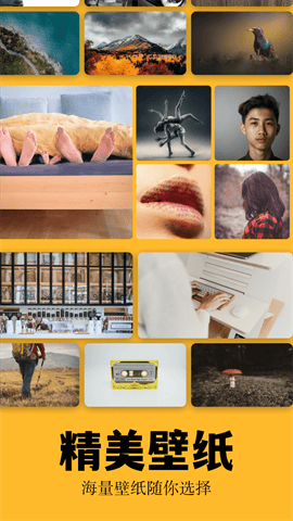 彩虹猫主题库最新版下载-彩虹猫主题库手机版下载v9.14