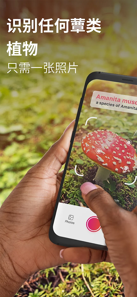 蘑菇识别扫一扫最新版下载-蘑菇识别扫一扫免费版下载v2.9.30