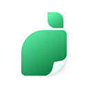 青柠海报设计最新版