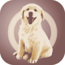 人狗交流器手机版